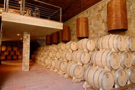 Tour del Pisco