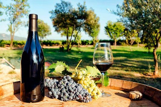 Ruta del Vino